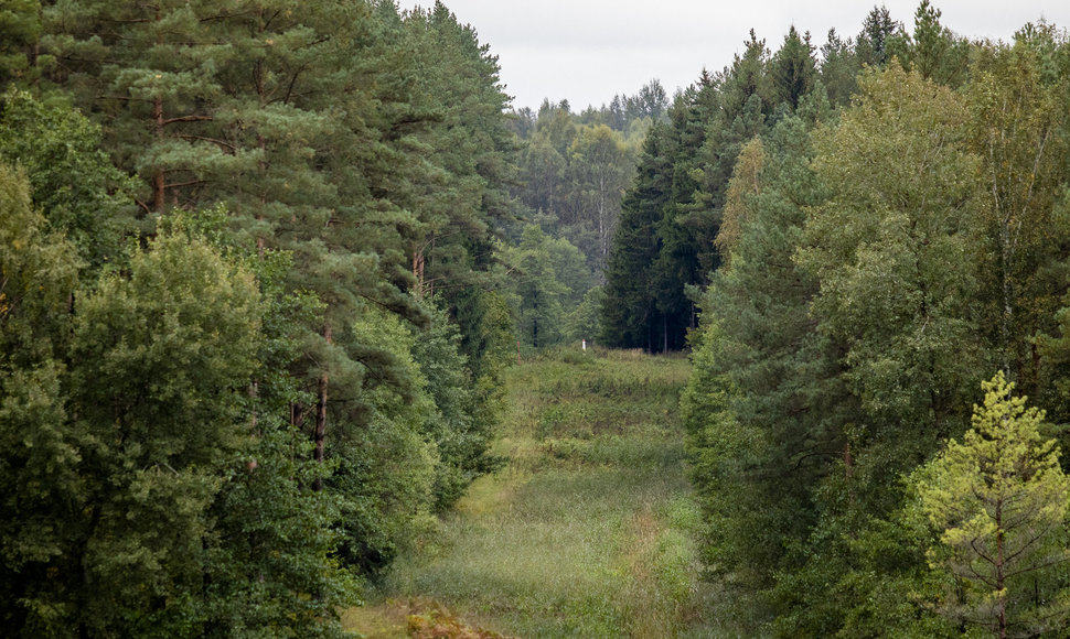 Sieną su Baltarusija Ignalinos rajone saugantys pareigūnai