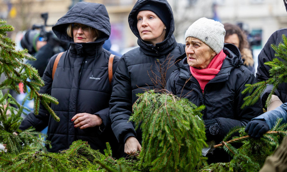 Valstybinių miškų urėdijos miškininkų organizuojama nemokamų eglės šakų dalijimo akcija