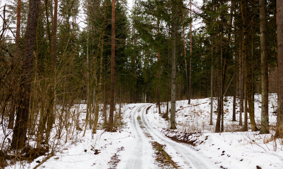 Raitininkų kaimas