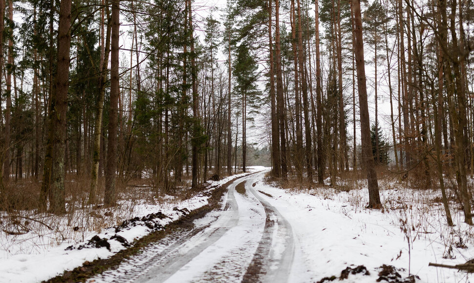 Raitininkų kaimas