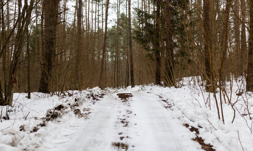 Raitininkų kaimas
