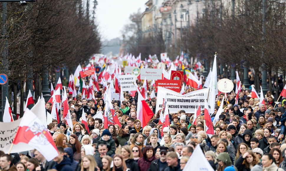 Sostinėje šimtai Lenkų Susirinko į Protestą Dėl Tautinių Mažumų Mokyklų ...