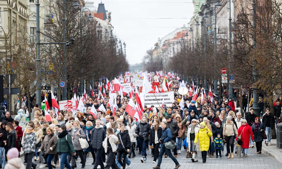 Sostinėje šimtai Lenkų Susirinko į Protestą Dėl Tautinių Mažumų Mokyklų ...