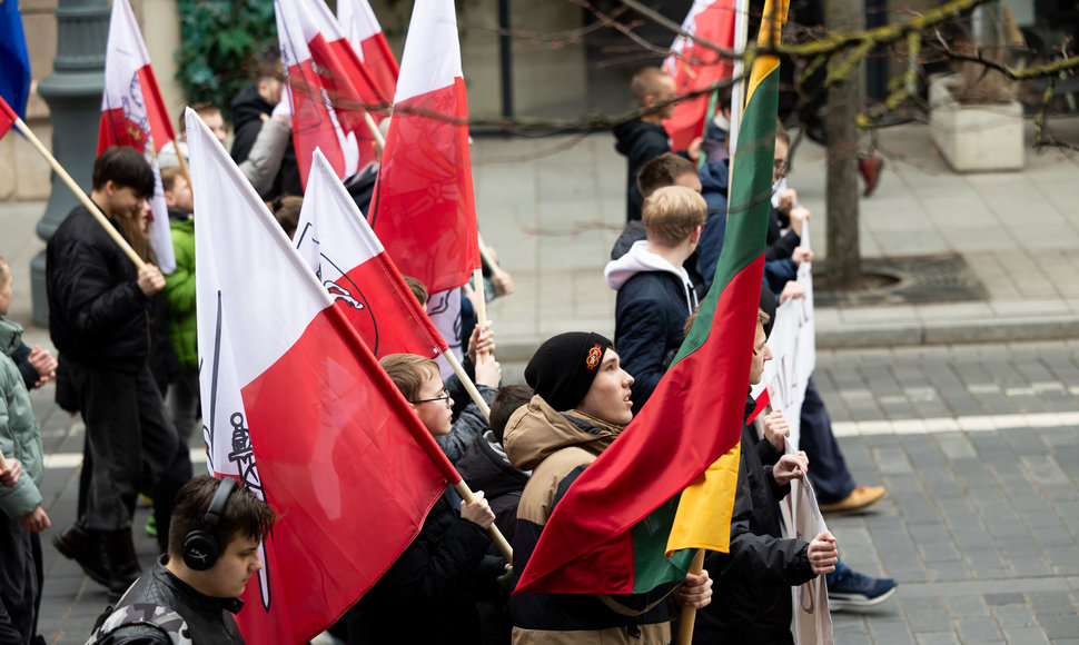 Mitingas tautinių mažumų mokykloms apginti