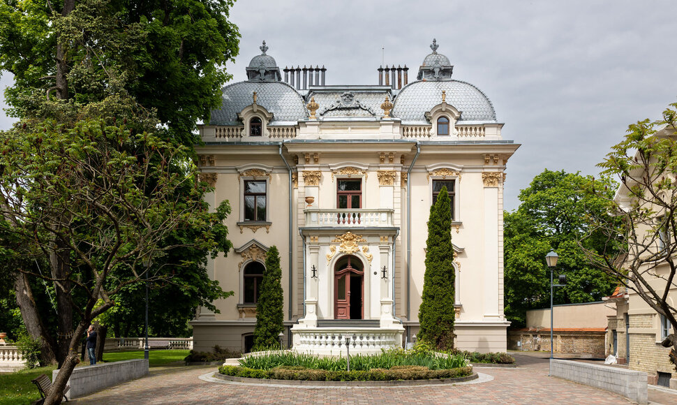 Vilei&scaron;ių rūmai