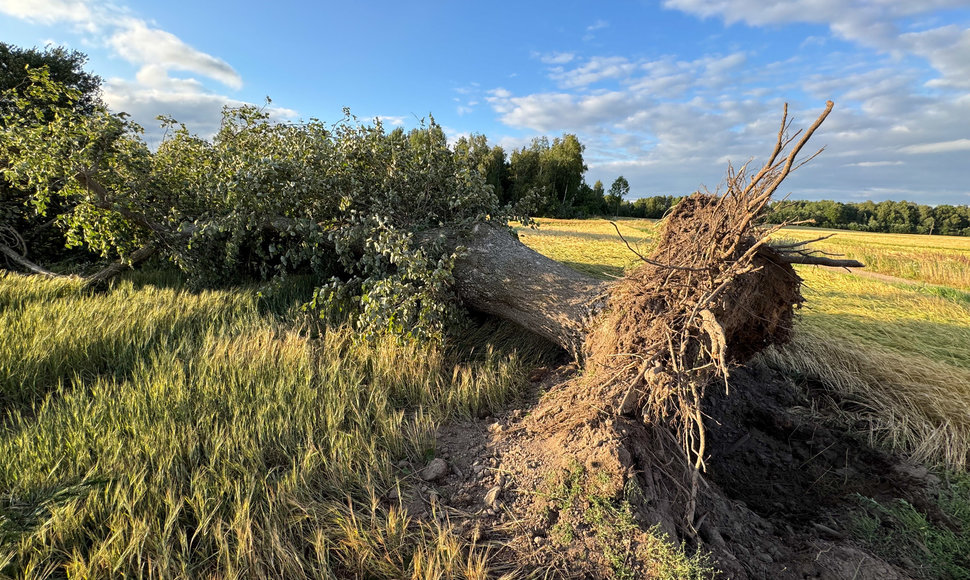 Viesulo padariniai Šiaulių rajone