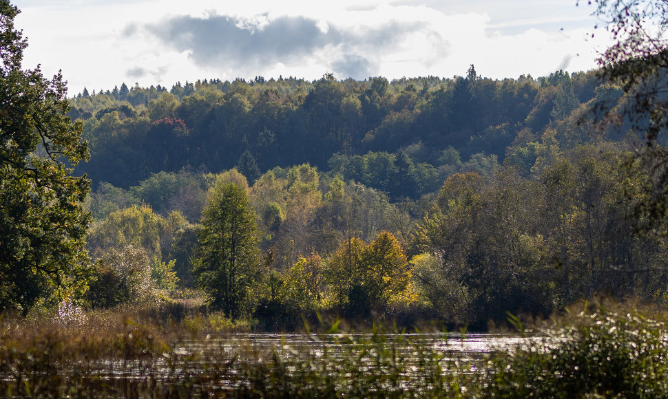 Saulėtas rudens rytas