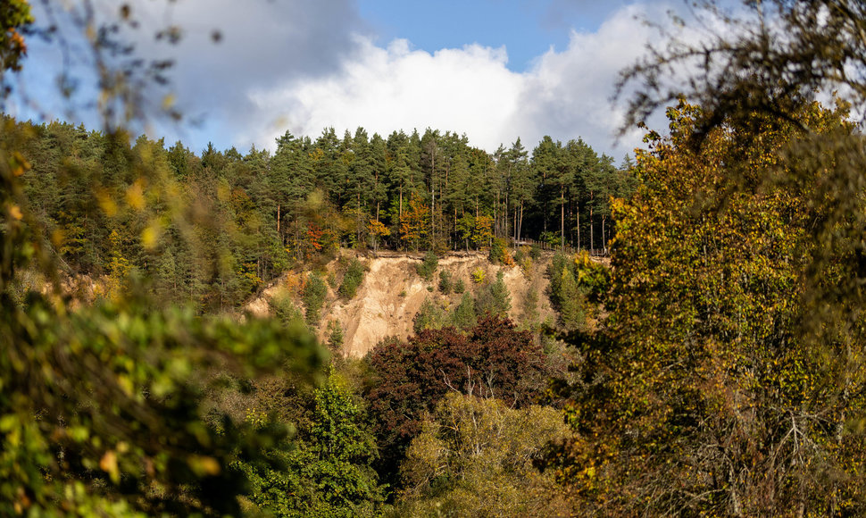 Saulėtas rudens rytas