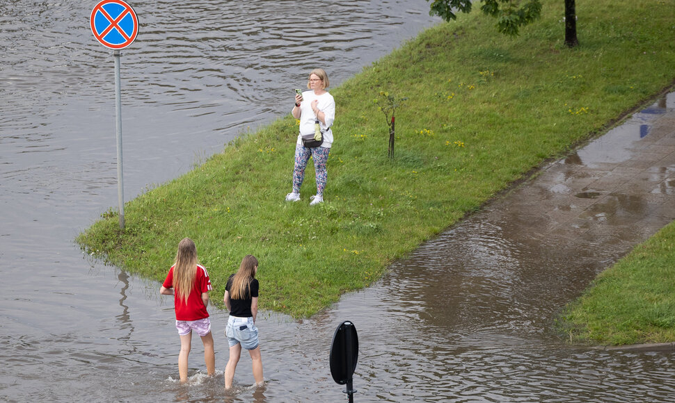 Liūtis Vilniuje
