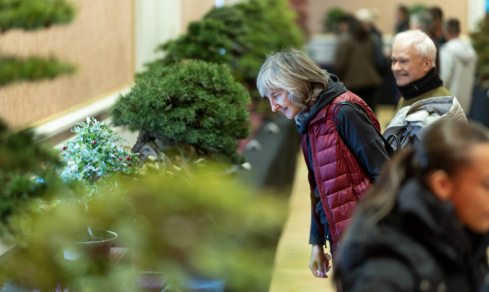 Japonijos menų ir kultūros festivalis 2025