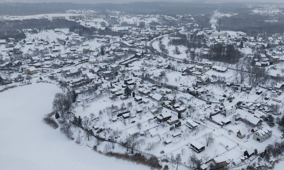 Žiema