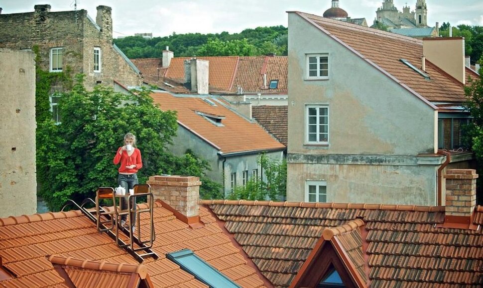 Stalelis kavai ant namo stogo Užupyje