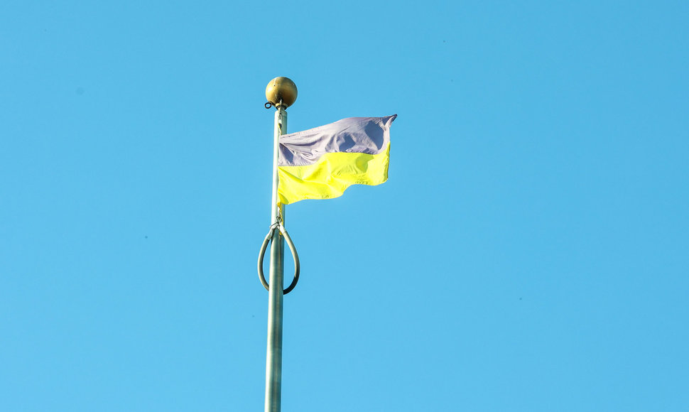 „Keliu vėliavą už Ukrainą NATO“ maratono dalyvių pasitikimas Lukiškių aikštėje