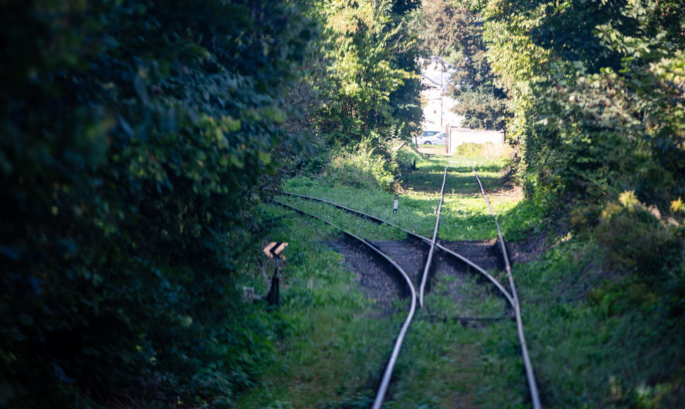 Ekskursija po Kauną traukiniu