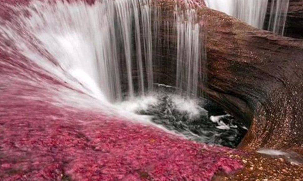 Upė Cano Cristales