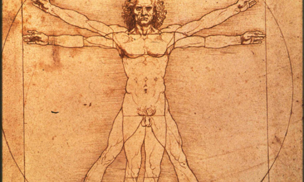 Leonardo da Vinci "Žmogaus anatomija"