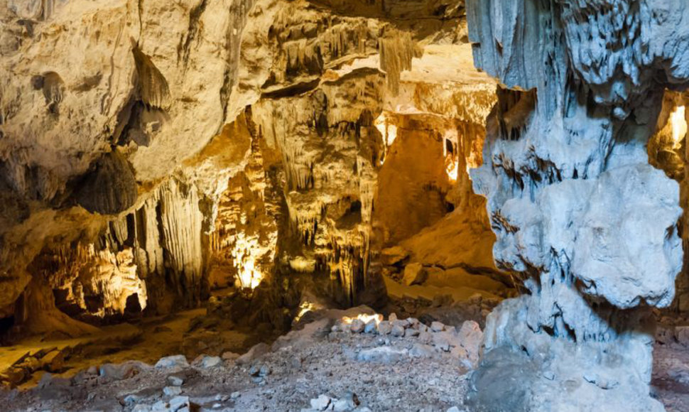 Grotte de Font-de-Gaume olos Prancūzijoje
