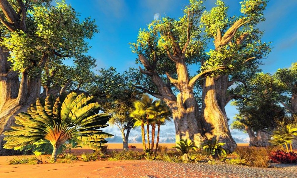 Madagaskaro ravenala dar vadinamas „keliautojų medžiu“ 