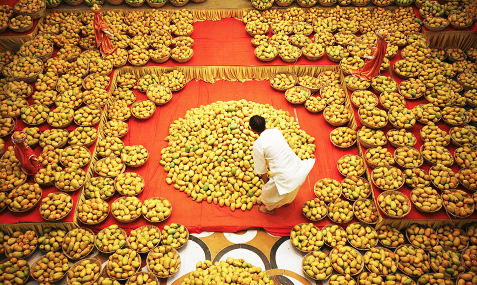 Delyje (Indija) kasmet vykstantis „Tarptautinis mango vaisiaus festivalis“