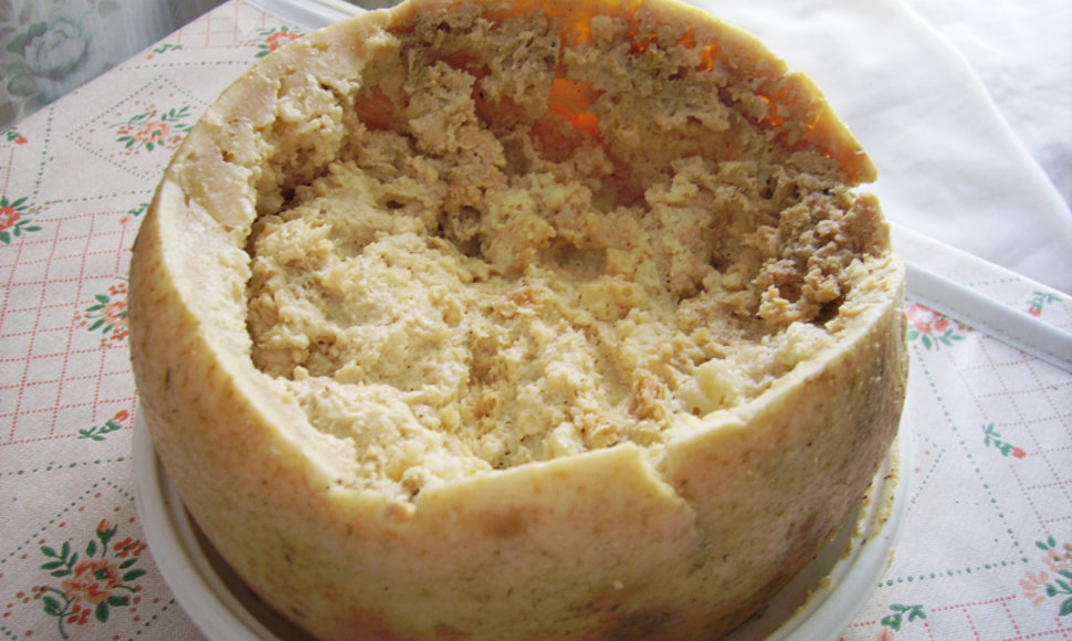  „Casu marzu“ – itališkas avių pieno sūris su vikšrais.