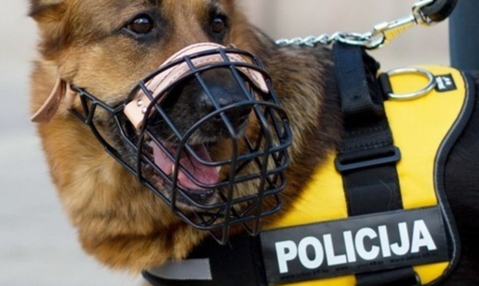 Policijos šuo