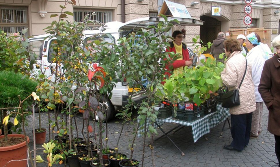 „Sodo kraitė“
