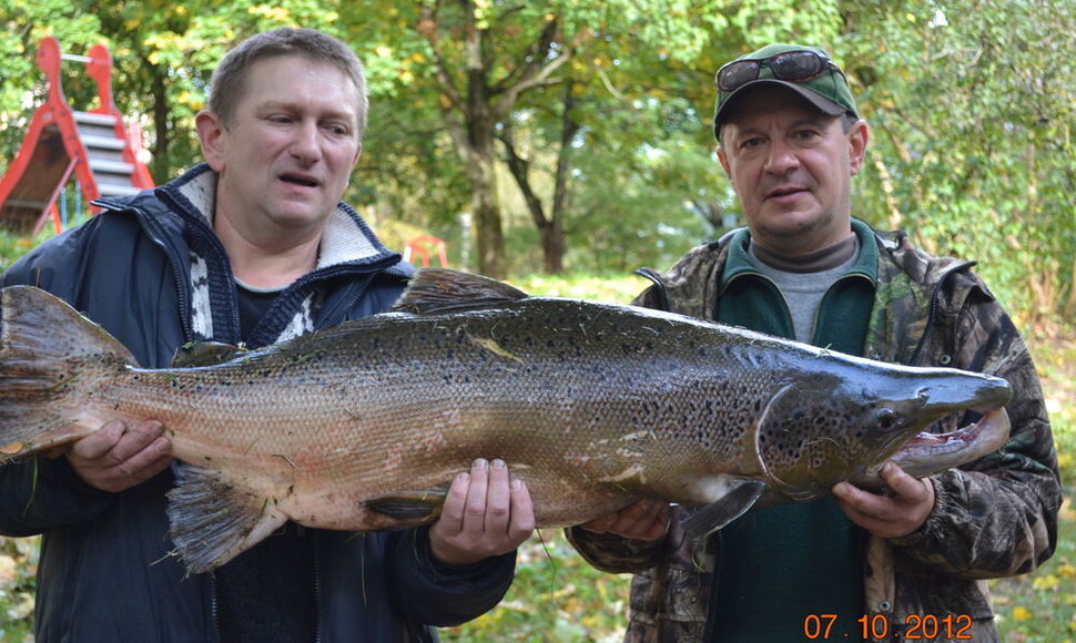 Vilniuje sužvejota 15 kg la&scaron;i&scaron;a