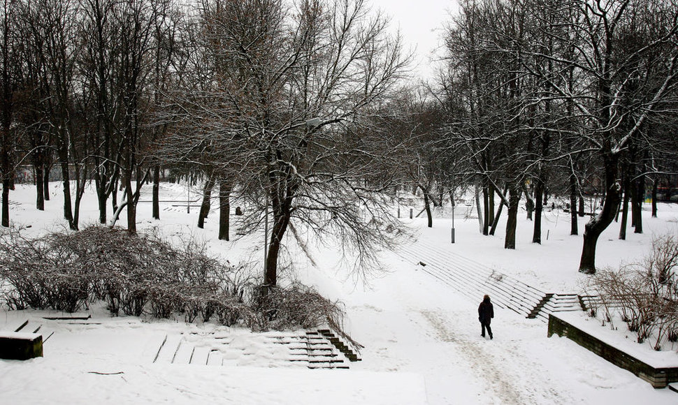 Vilnius Reformatų skveras žiemą