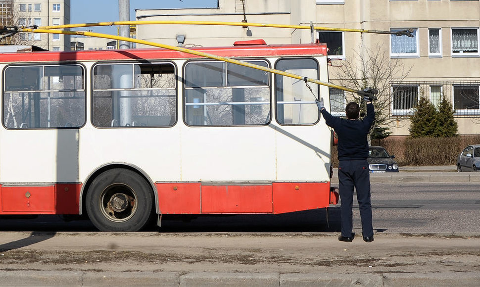 Viešasis transportas