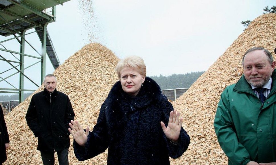 Iš biokuro pigiai šilumą gaminantys, bet brangiai ją parduodantys nepriklausomi gamintojai turėtų būti dėkingi prezidentei D.Grybauskaitei.