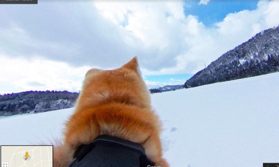 Japonijoje „Google Street View“ – iš šuns perspektyvos