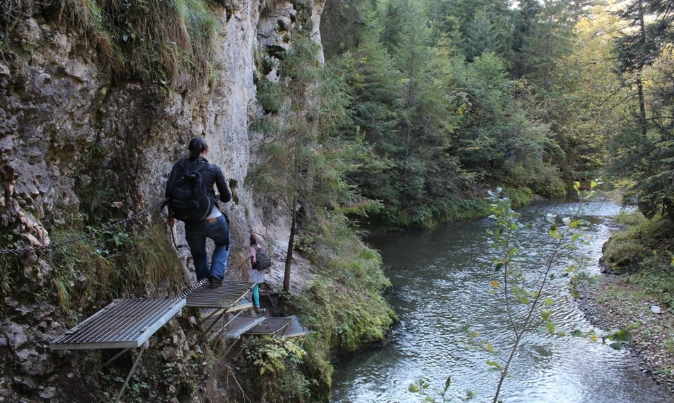 Adrenalino pliūpsniai Slovakijoje