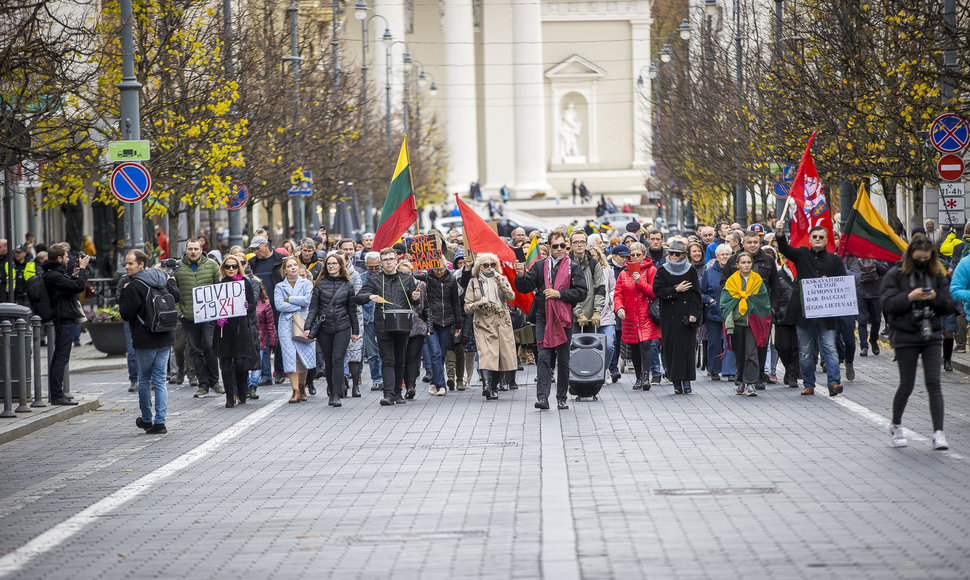 A.G.Astrauskaitė kvietė protestuoti prieš Vyriausybės neva vykdomą represinę politiką