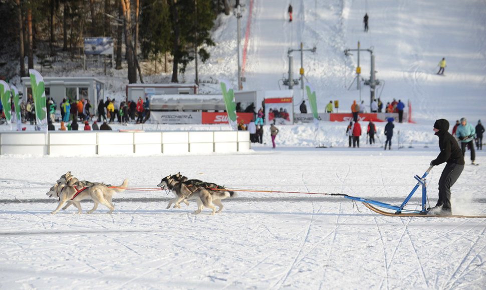Ignalinoje – „LTeam“ žiemos olimpinis festivalis