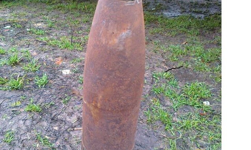 Sprogmuo