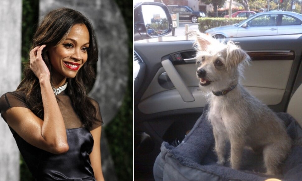 Zoe Saldana ir jos naujasis augintinis