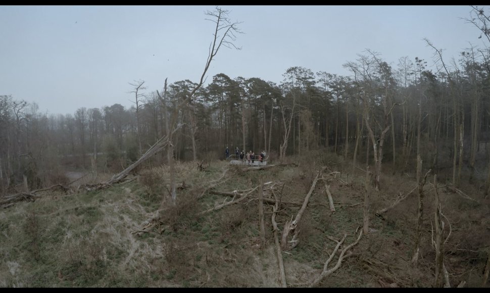 Kadras iš filmo „Rūgštus miškas“