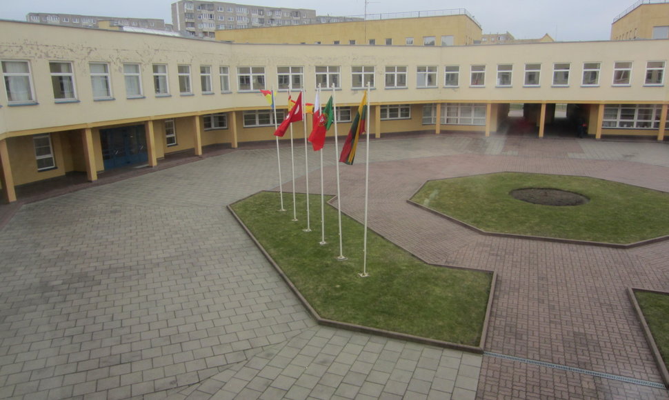 Susitikimo Lietuvoje metu, kieme vejyje plasdeno visų projekto šalių vėliavos