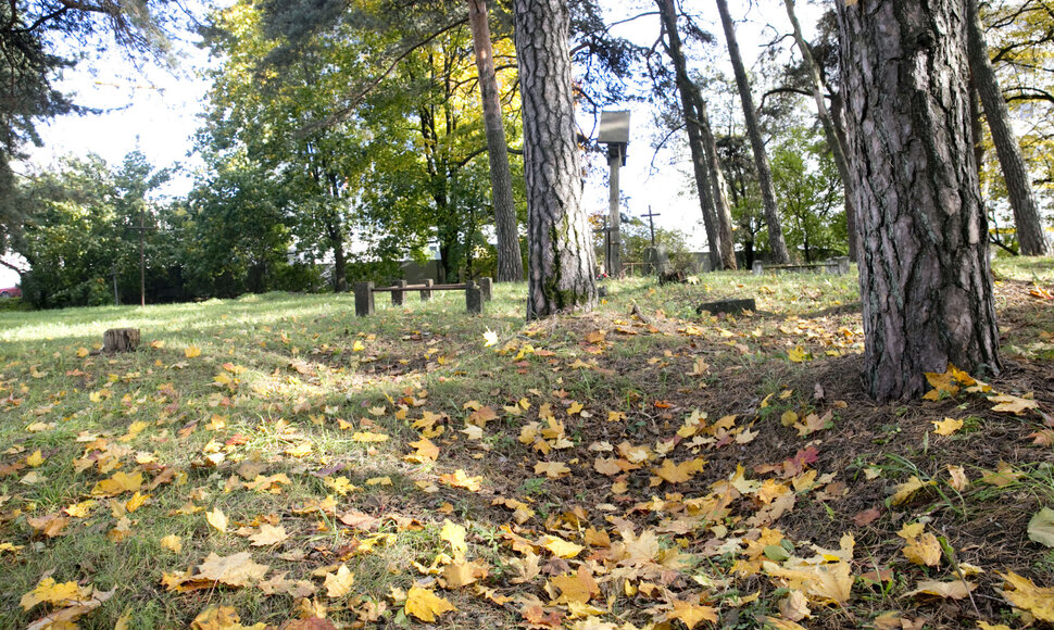 Vir&scaron;uli&scaron;kių kapinės