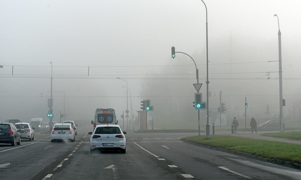 Paskutinės rudens dienos Vytauto Šauklio nuotraukose