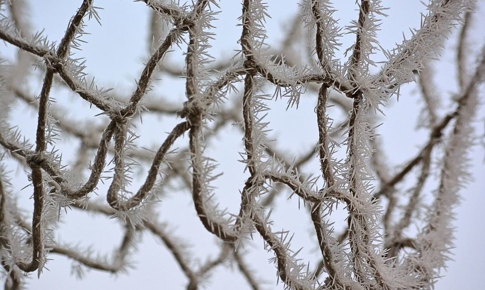 Žiemos vaizdai Vytauto Šauklio fotografijose