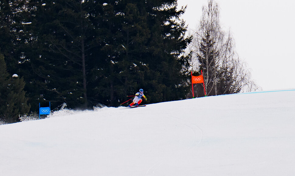 Andrejus Drukarovas &bdquo;Super G&ldquo; rungtyje