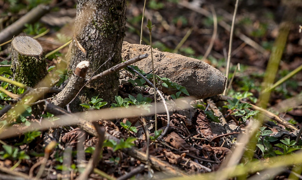 Sostinės Saulėtekio al. 25a aptiktas į sprogmenį panašus daiktas