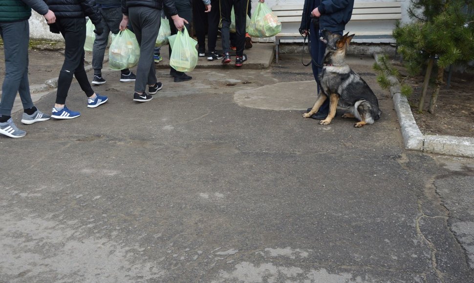 Įkalinimo įstaigų patikrinimas su tarnybiniais šunimis