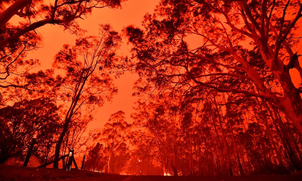 Australijoje šėlstantys gaisrai paplūdimiuose įkalino tūkstančius žmonių