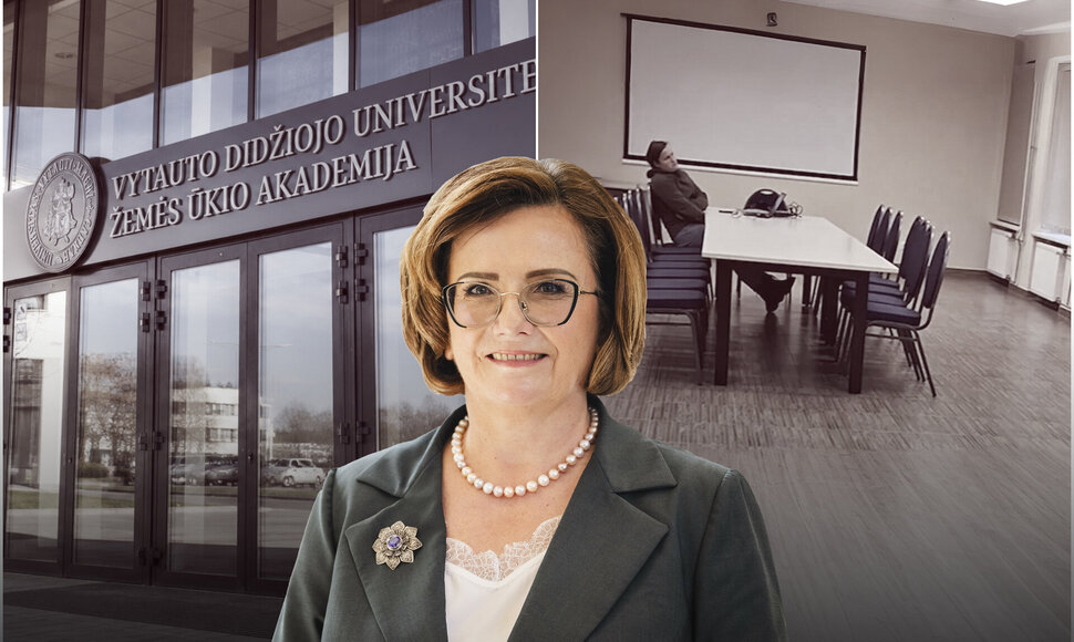 Prorektorė