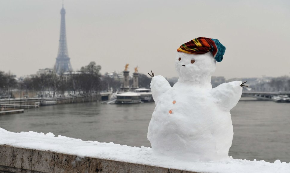 Paryžiaus gyventojai džiaugėsi gausiu sniegu
