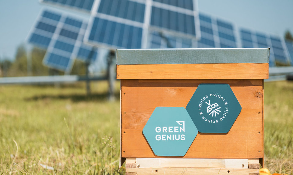 Lietuvoje – pirmoji nutolusi saulės jėgainė su bičių aviliais