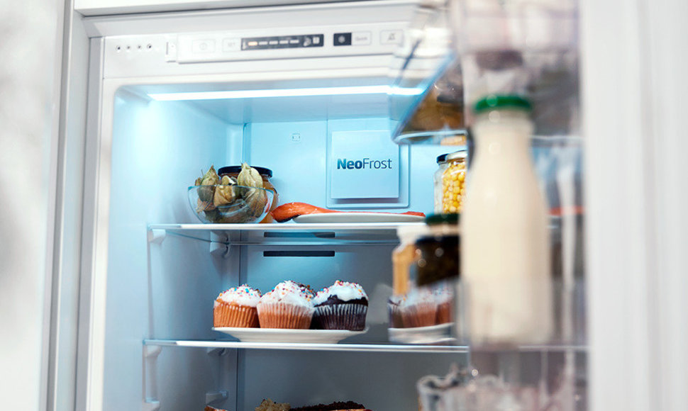 Šaldytuvai: ar juose produktai gali būti laikomi ilgesnį laiką?