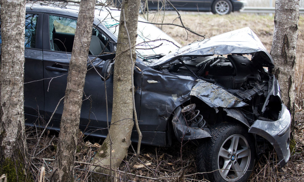 Vilkiko kliudytas BMW automobilis nulėkė nuo kelio